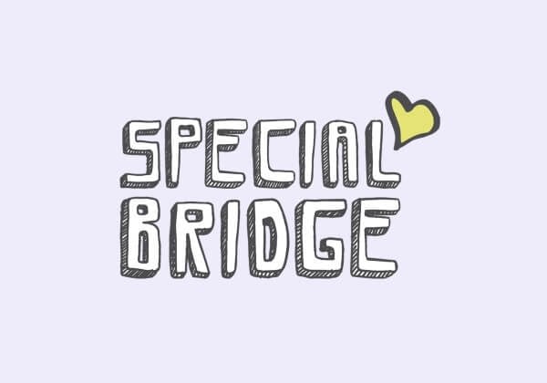 Special Bridge